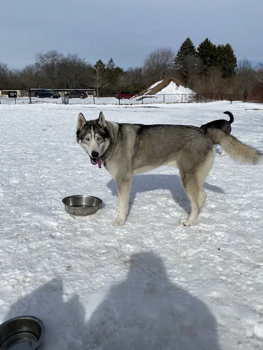 Warnimont Dog Park 6
