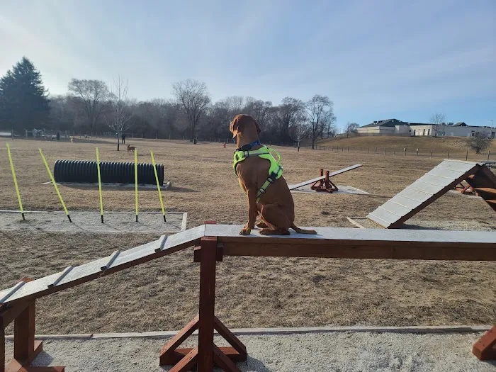 East Troy Dog Park 6