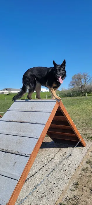 East Troy Dog Park 8