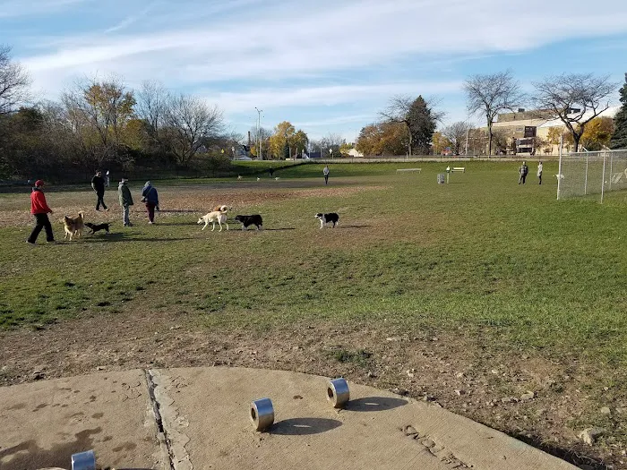 Bay View Dog Park 10