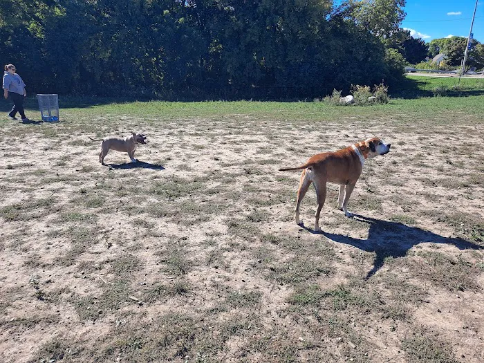Bay View Dog Park 4