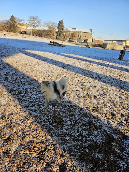 Bay View Dog Park 9