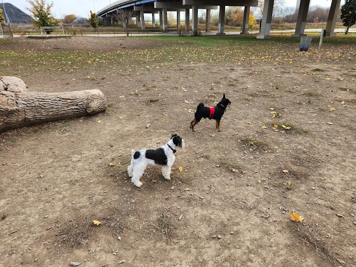 Bay View Dog Park 1