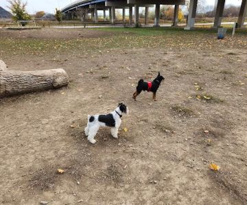 Bay View Dog Park