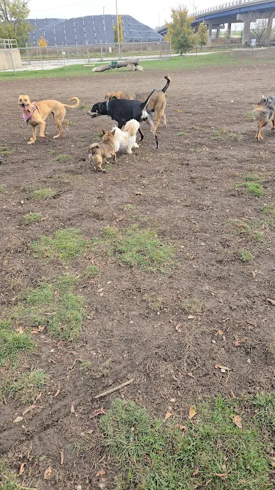Bay View Dog Park 5