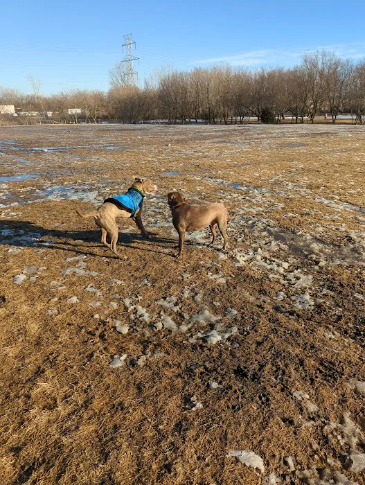 West Allis Dog Park 6