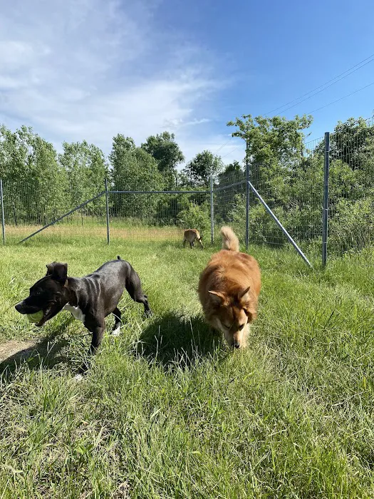 West Allis Dog Park 8