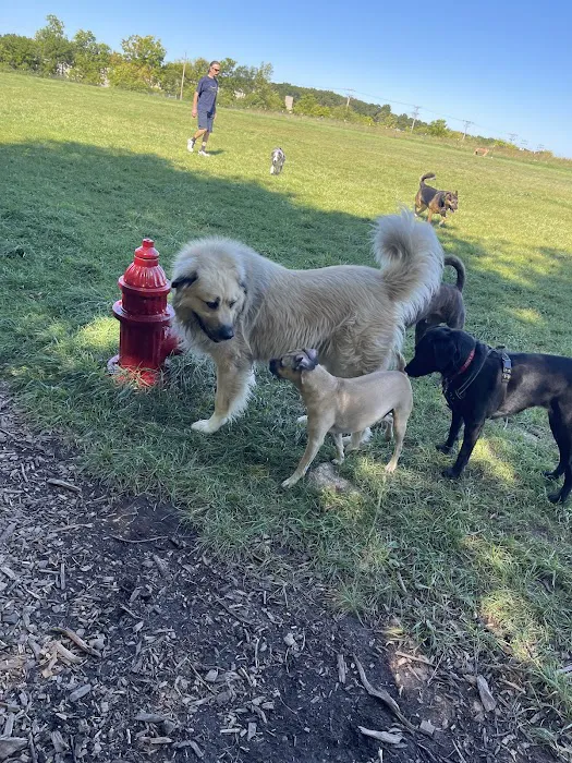 West Allis Dog Park 2