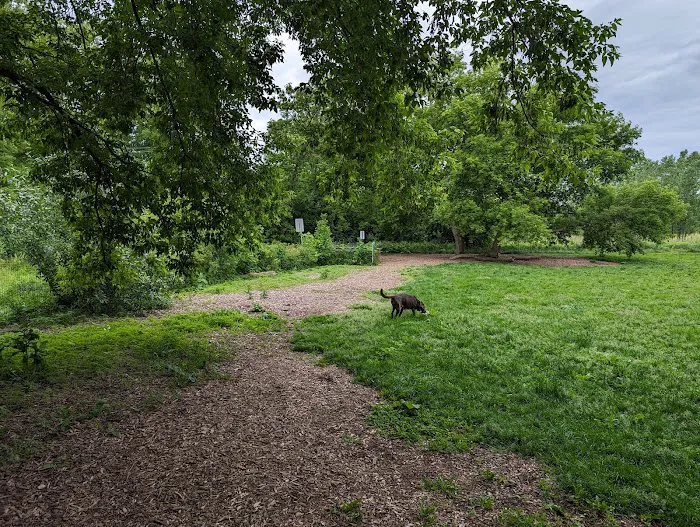 West Allis Dog Park 7