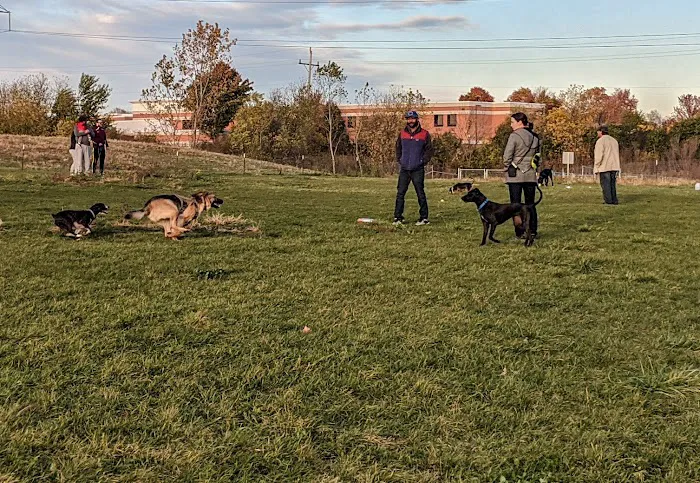 West Allis Dog Park 10