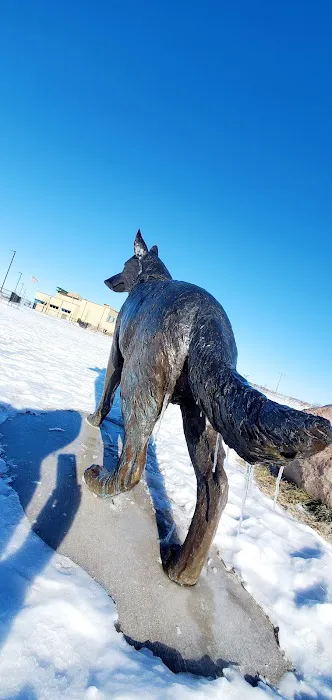 Sycamore Park District Brian Bemis Family Dog Park 5
