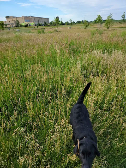 Sycamore Park District Brian Bemis Family Dog Park 8