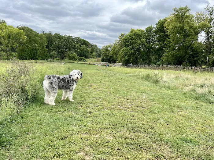 Mukwonago Dog Exercise Park 3
