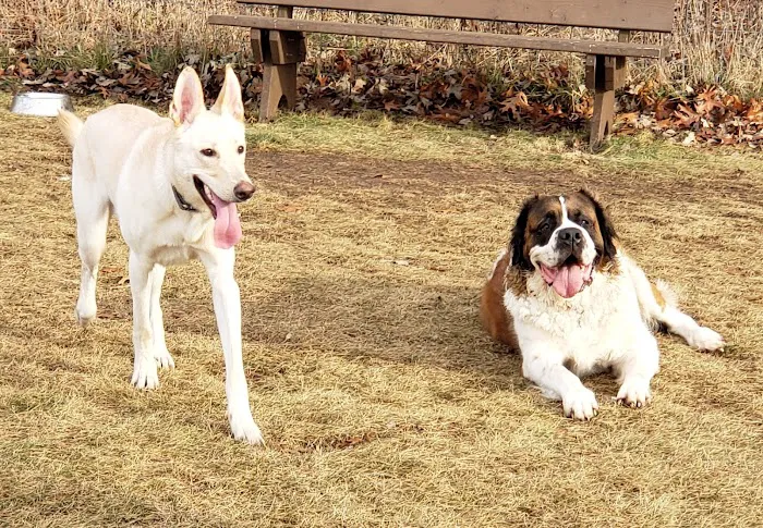 Mukwonago Dog Exercise Park 6