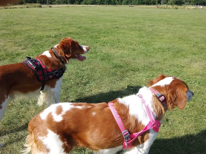 Mukwonago Dog Exercise Park 8