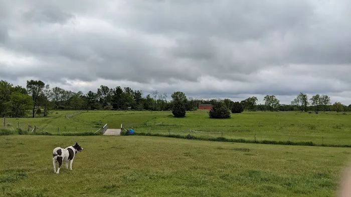 Mukwonago Dog Exercise Park 4