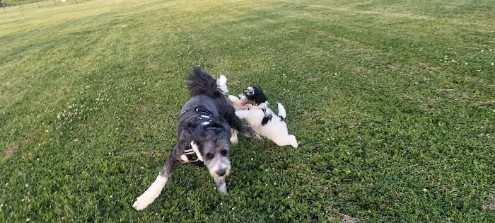 Tinley Park Park District Canine Campus (membership required) 8