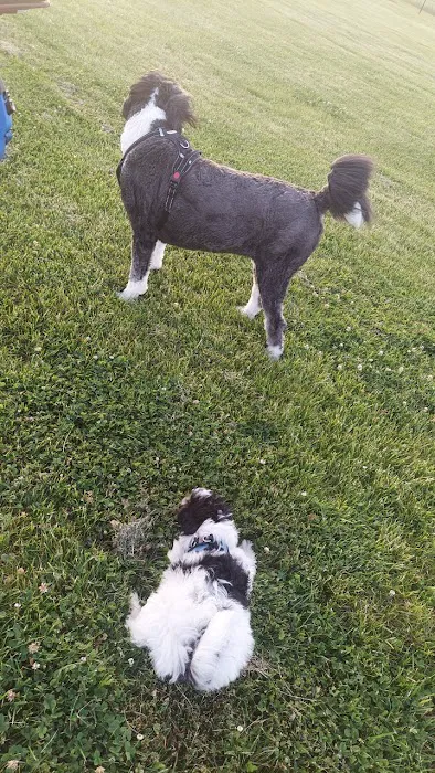 Tinley Park Park District Canine Campus (membership required) 7