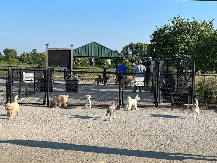 Tinley Park Park District Canine Campus (membership required) 6