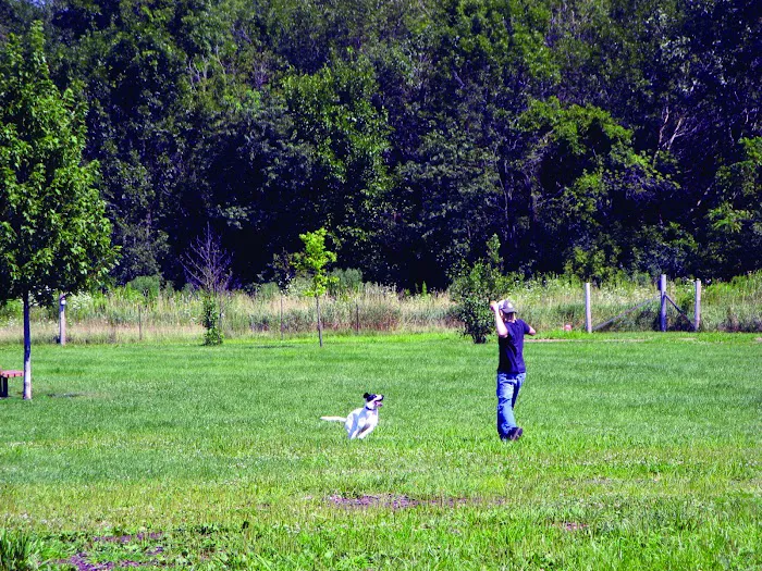 Rover's Run Dog Park (Membership required) 6