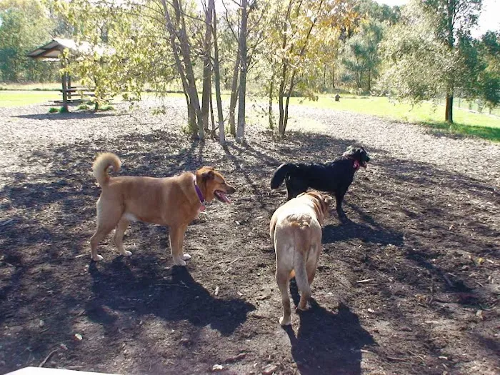 Rover's Run Dog Park (Membership required) 1