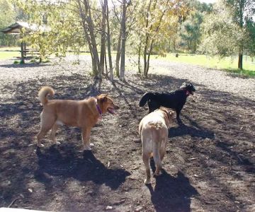 Rover's Run Dog Park (Membership required)