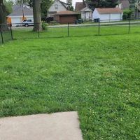 Irving Park Dog Park ico