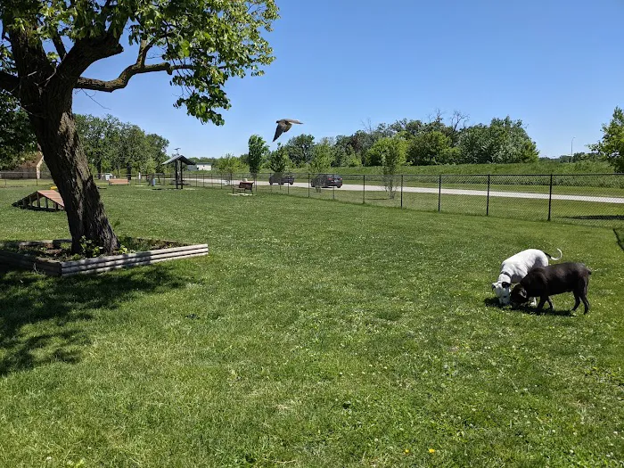 Riverside Dog Park 1