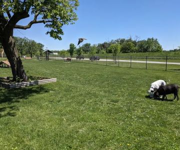 Riverside Dog Park