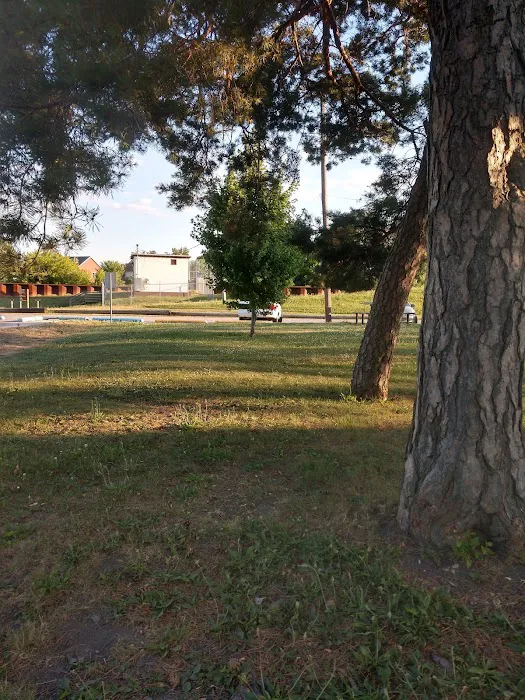 Riverside Dog Park 6