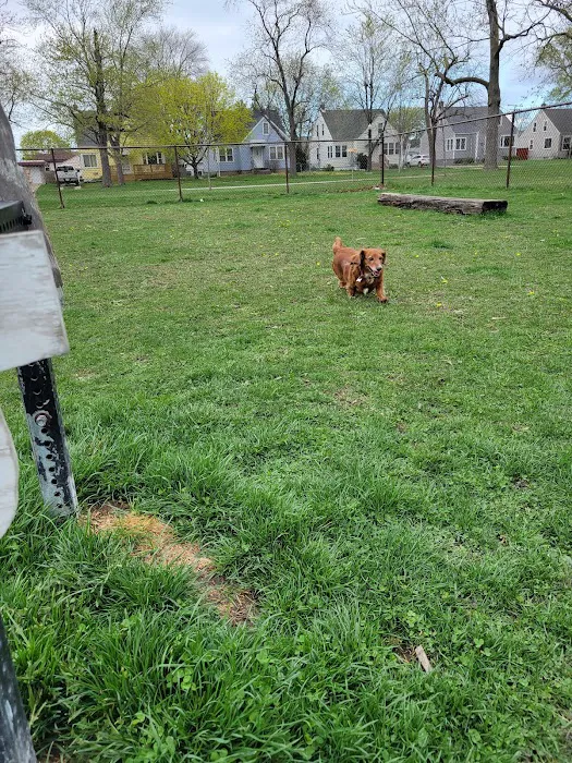 Riverside Dog Park 8