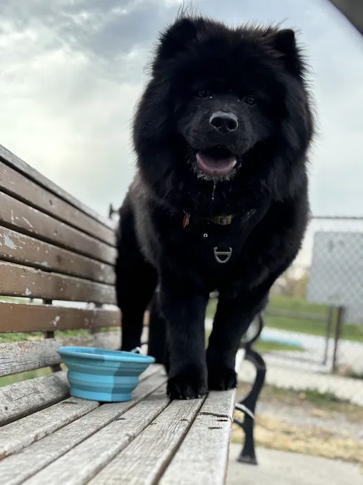 Riverside Dog Park 3