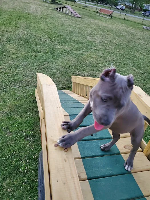Riverside Dog Park 4
