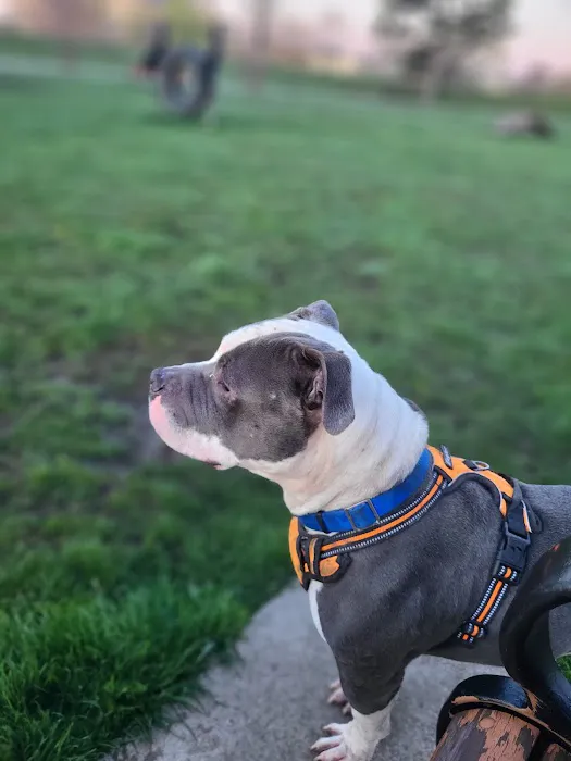 Riverside Dog Park 2