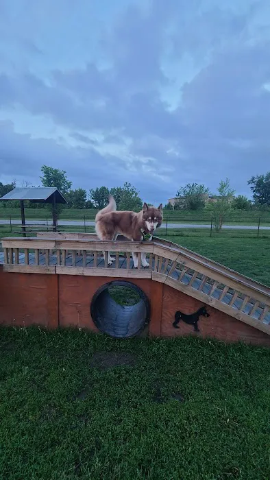 Riverside Dog Park 7