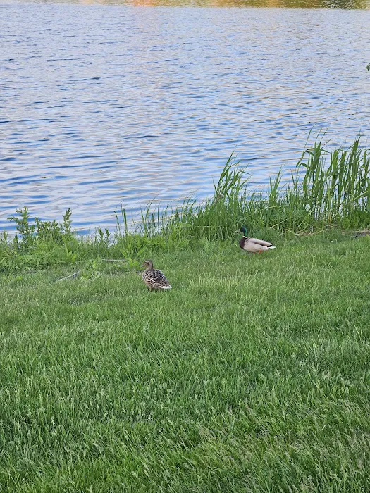 Centennial Park Dog Park 2