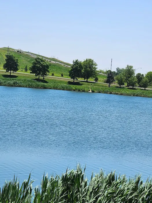 Centennial Park Dog Park 8