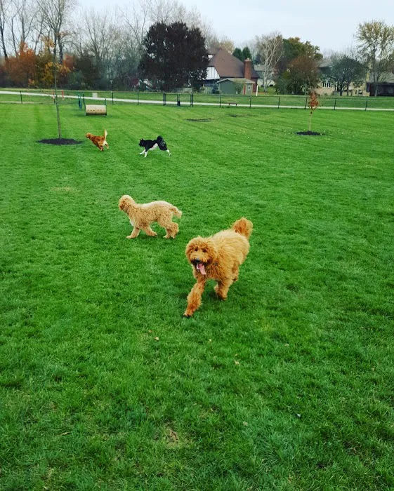 Centennial Park Dog Park 5