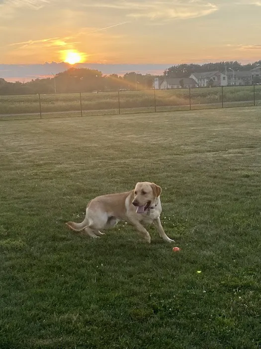 Dyer Dog Park 1