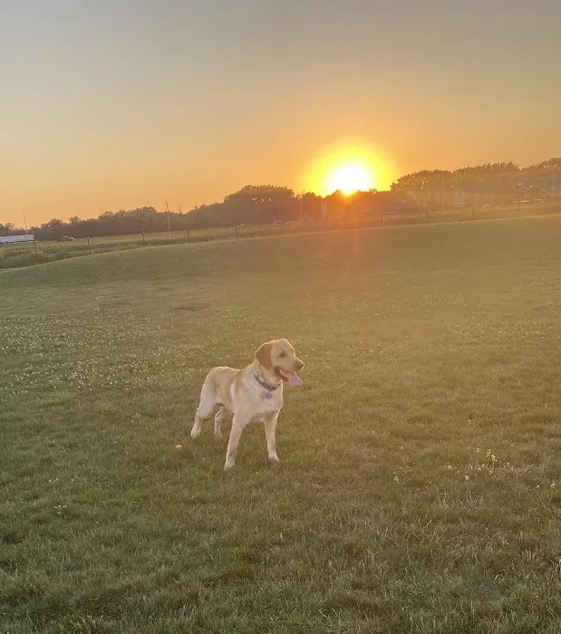 Dyer Dog Park 5