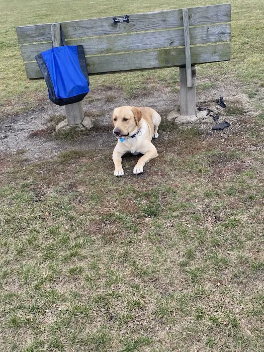 Dyer Dog Park 4