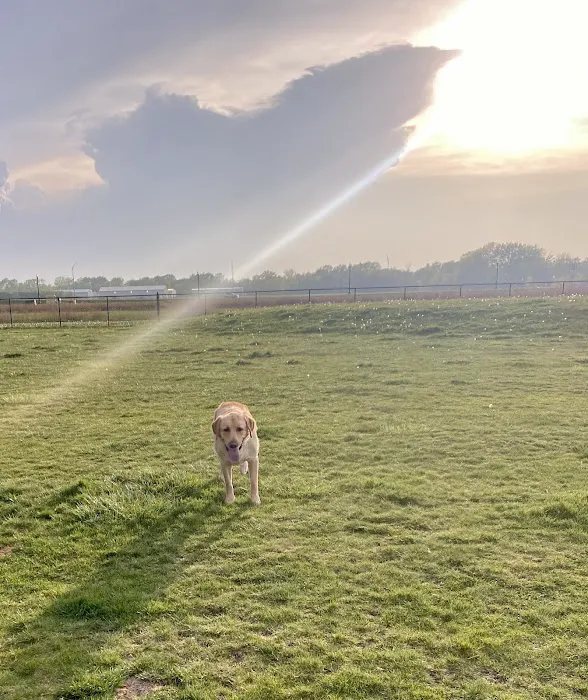 Dyer Dog Park 3