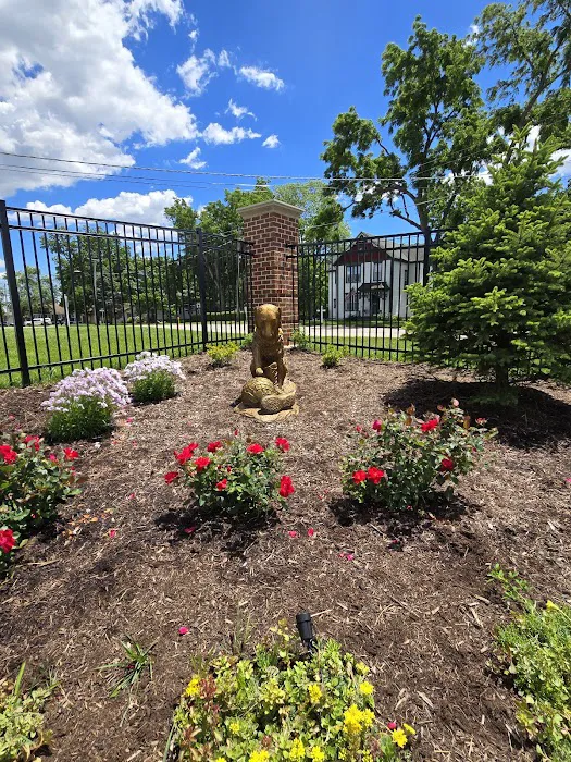 Veterans Dog Park 8