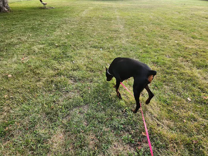 Tag-A-Long Dog Park 9