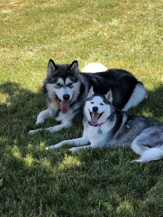 Tag-A-Long Dog Park 5
