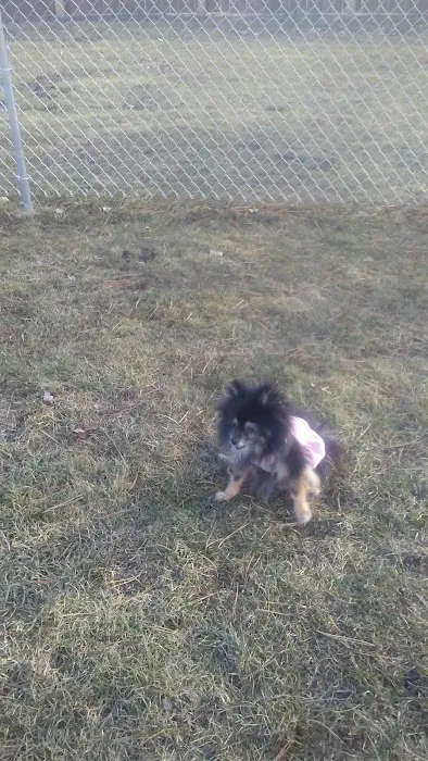 Tag-A-Long Dog Park 6