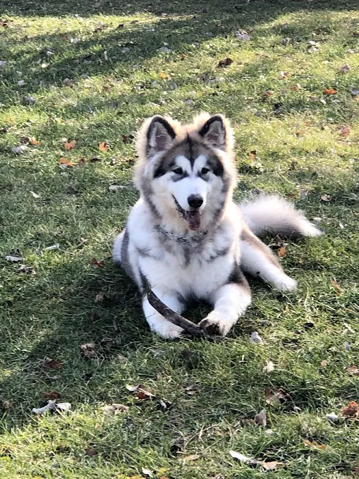 Tag-A-Long Dog Park 3