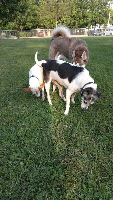 Tag-A-Long Dog Park 7