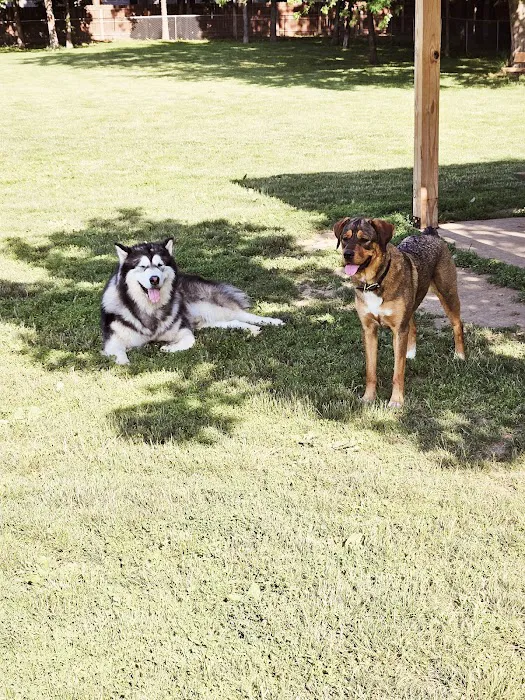 Tag-A-Long Dog Park 8