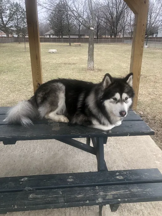 Tag-A-Long Dog Park 2